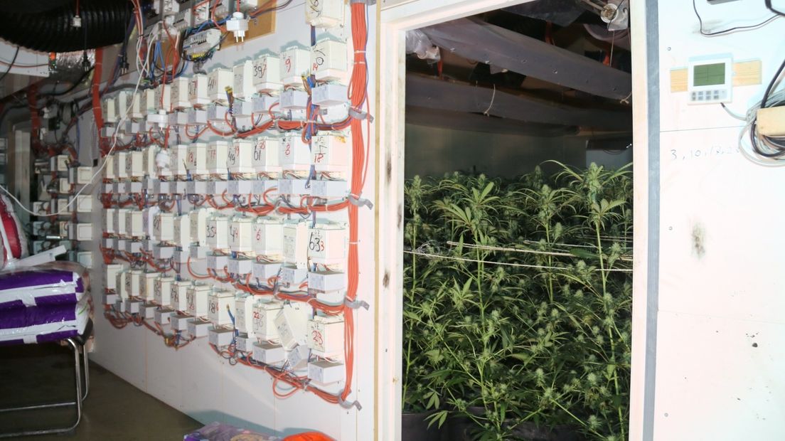 Wietkwekerij met zo'n 2.000 planten gevonden in voormalig pand Kijkshop