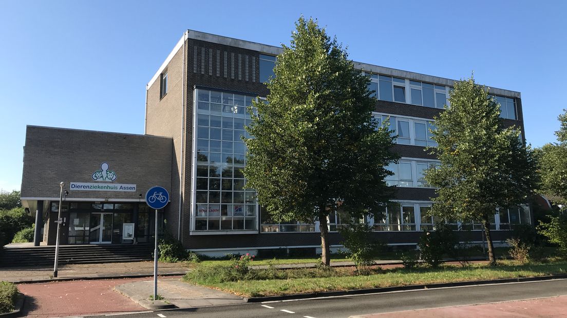 In dit lege kantoor aan de Pelikaanstraat komen woonstudio's (Rechten: Margriet Benak/RTV Drenthe)
