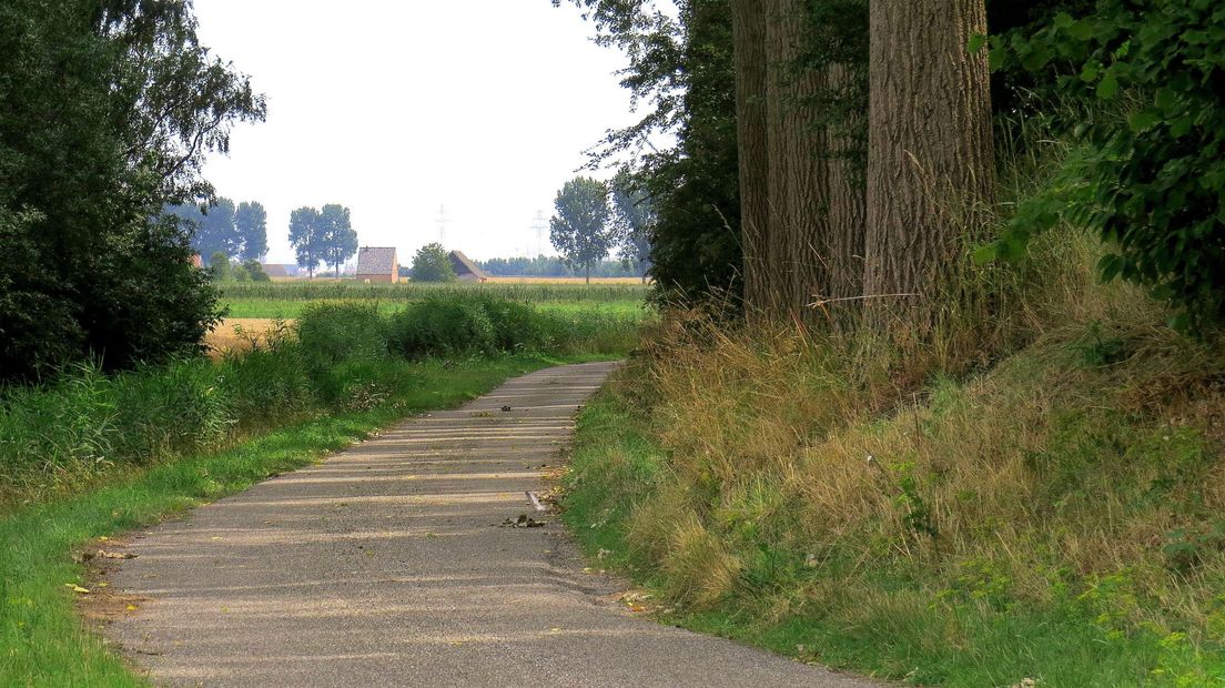 Hedwigepolder