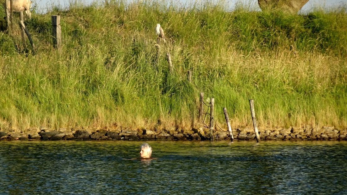 Afkoelen in het Kanaal door Walcheren