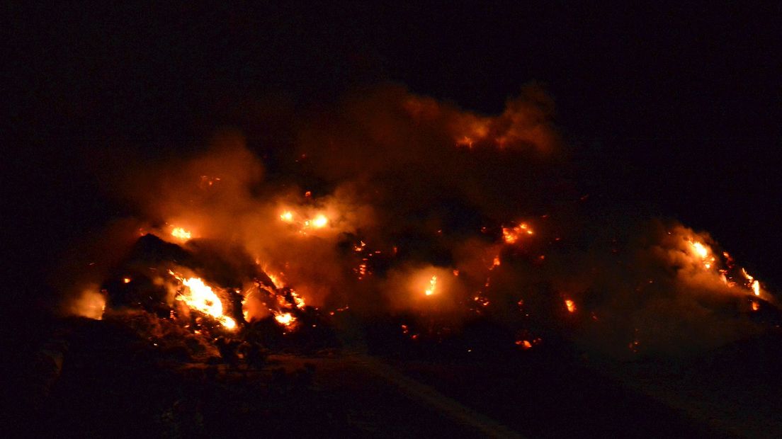 Grote rietbult brandt af in Wanneperveen