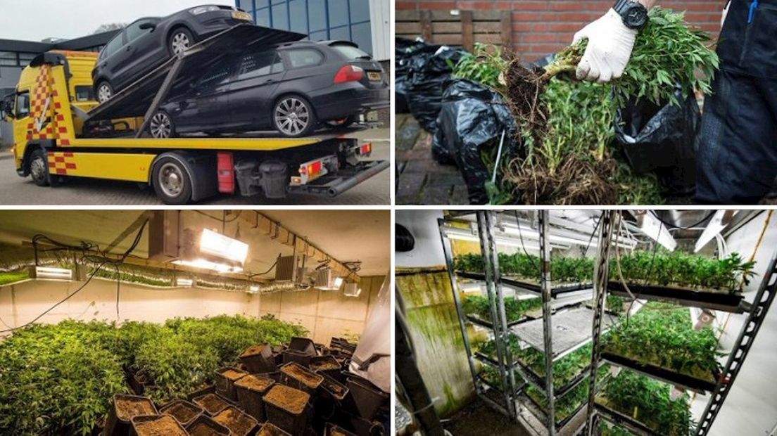 Er werden planten gevonden en auto's in beslag genomen