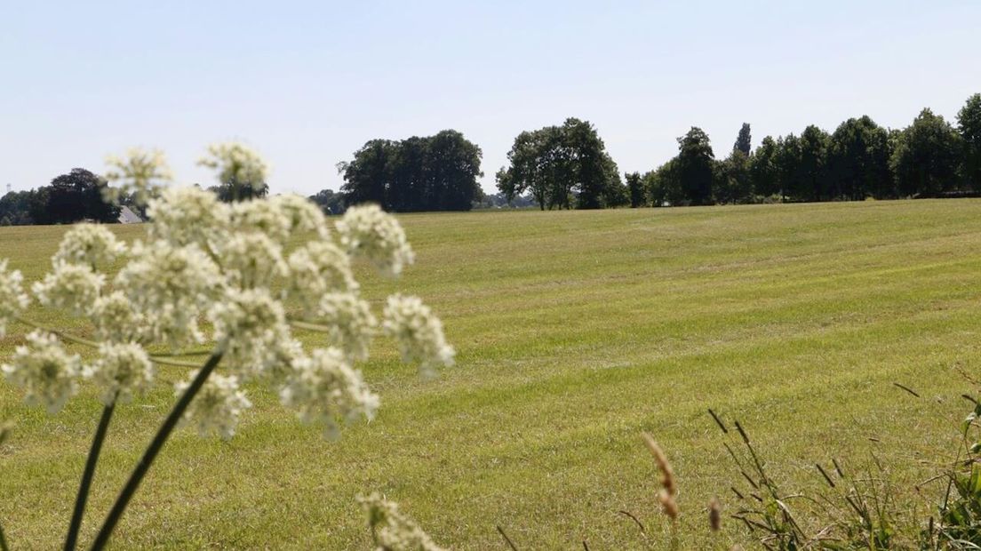 Gebied Waterlanden in Goor plek voor zonnepark