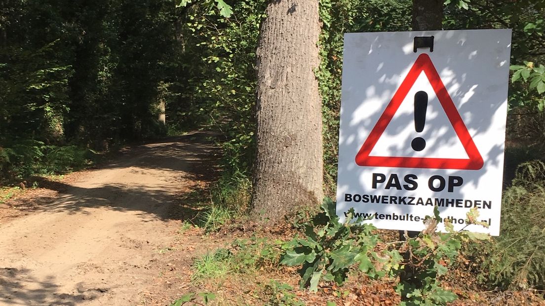 Op landgoed Slangenburg bij Doetinchem worden in augustus en september honderden bomen gekapt. Volgens Staatsbosbeheer gaat het om regulier bosonderhoud. Meerdere buurtbewoners zijn tegen de bomenkap.