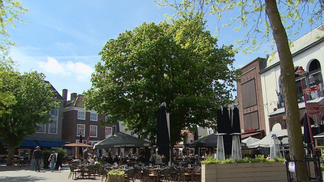 Kruidenmengsel redding voor kastanjeboom Middelburg (video)