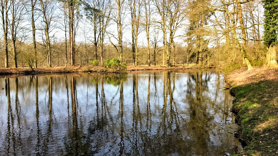 Iedere zondagochtend tussen 7.00 en 10.00 uur struint verslaggever Laurens Tijink door de Gelderse natuur. Deze zondagochtend leidt Gerard Heemskerk, educatief boswachter van Geldersch Landschap en Kastelen, Laurens rond op de witte pauwenburcht: Landgoed Staverden.