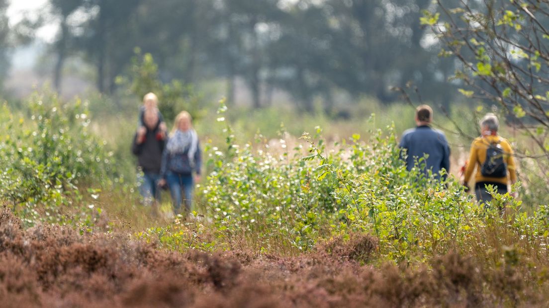 Houd ook op de paden afstand van elkaar (Rechten: Fred van Os/RTV Drenthe)
