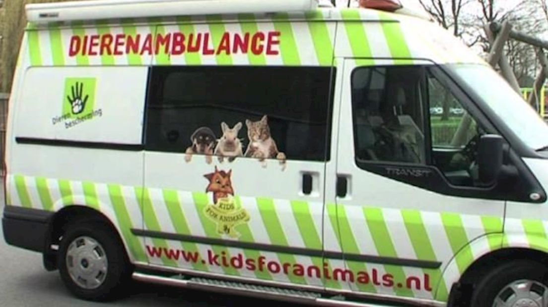 Hond gewond door vuurwerk