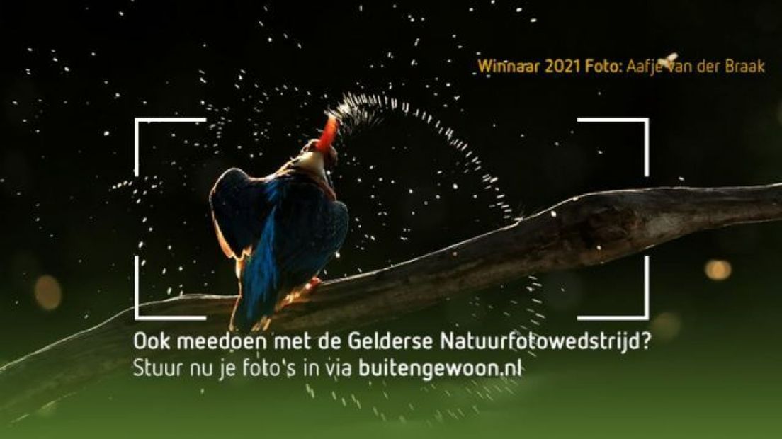 Winnaar 2021