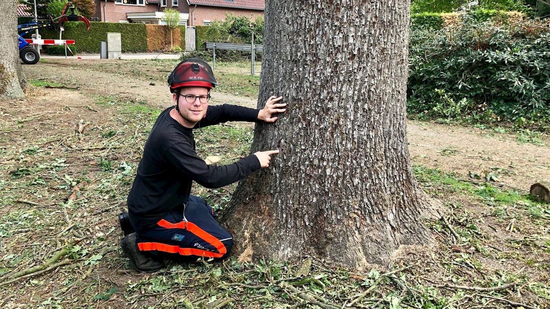 Bomenverzorger Henk Jansen