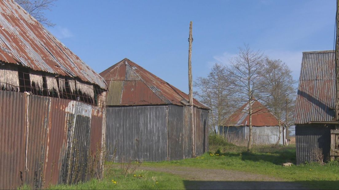 het enige overgebleven hooibergterrein van Nederland in Hasselt
