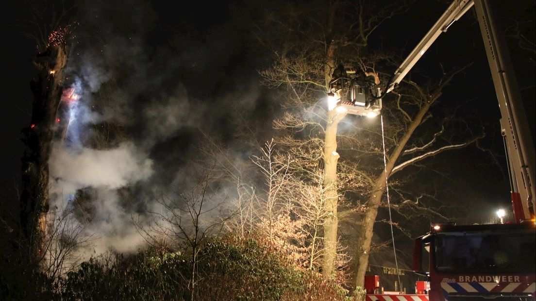 De metershoge boom vatte vlam vlakbij het Brandweermuseum in Rijssen