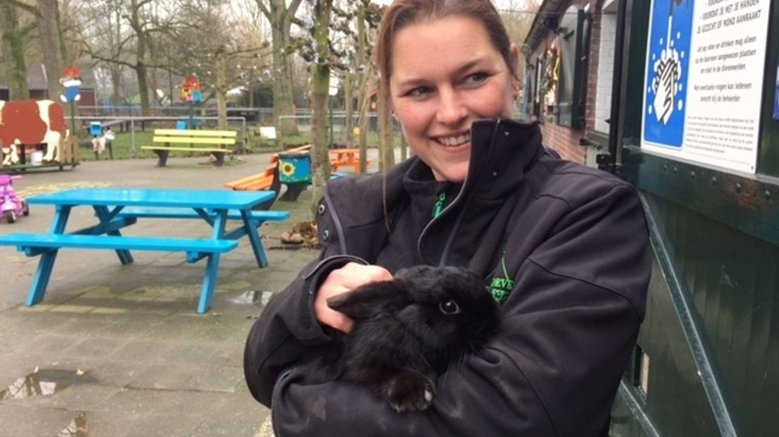 Vermist therapiekonijn Blacky is weer terecht (video)