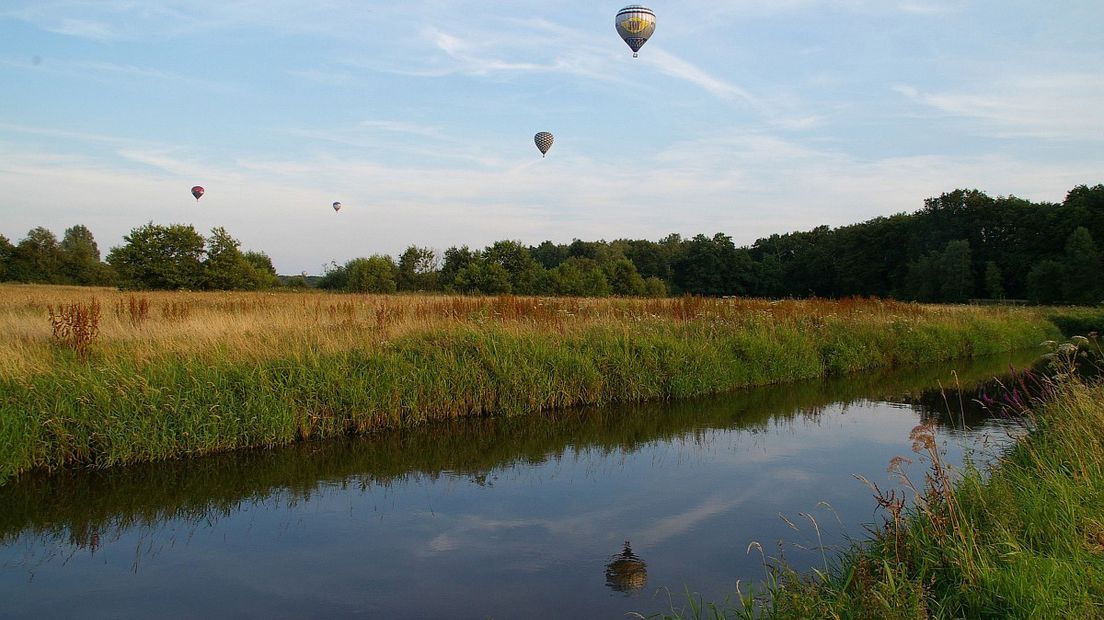 In het water zit onder meer glysofaat (Rechten: Free Nature Images/Sytstke Dijksen)