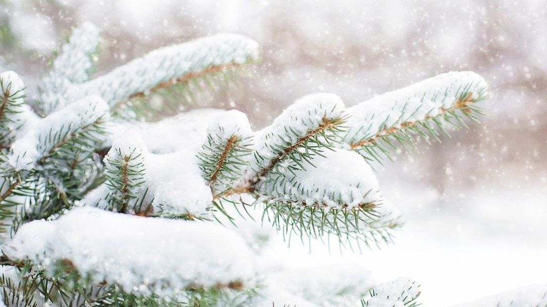 Het gaat sneeuwen, maar reken niet op een witte kerst Omroep Gelderland Het gaat sneeuwen, maar reken niet op een witte kerst Omroep Gelderland