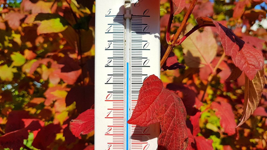 Het kwik steeg vrijdag al boven de 20 graden