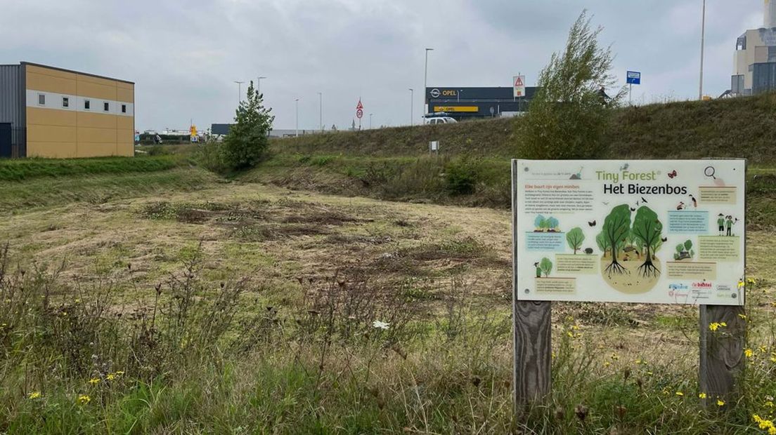De plek waar tot dinsdag het tiny forest stond.