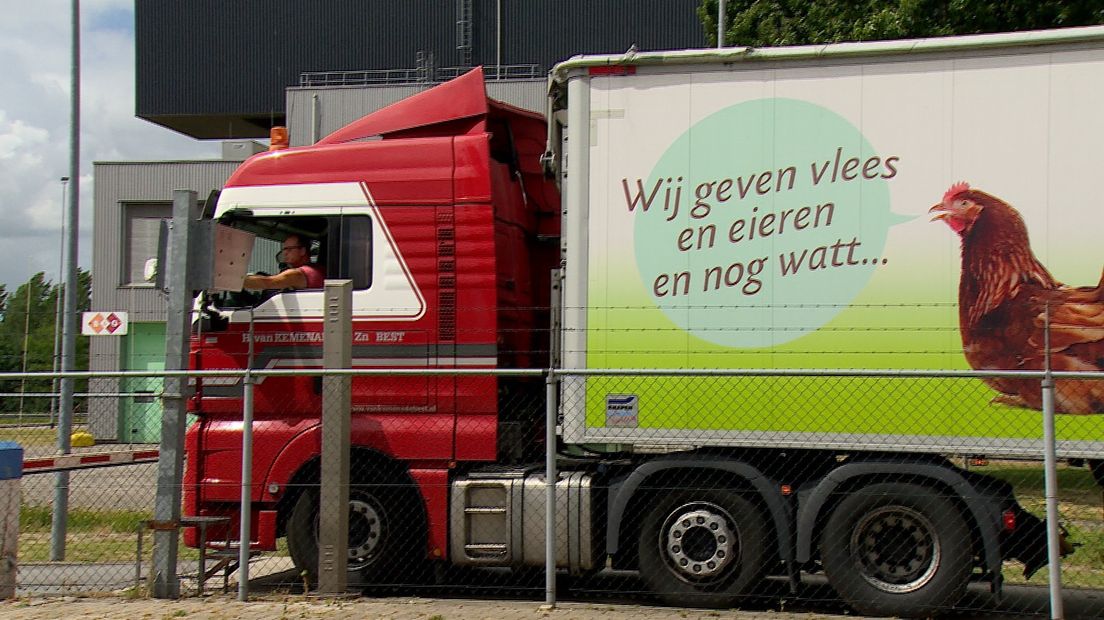 Met kippenmest je telefoon opladen, deze centrale maakt wél winst