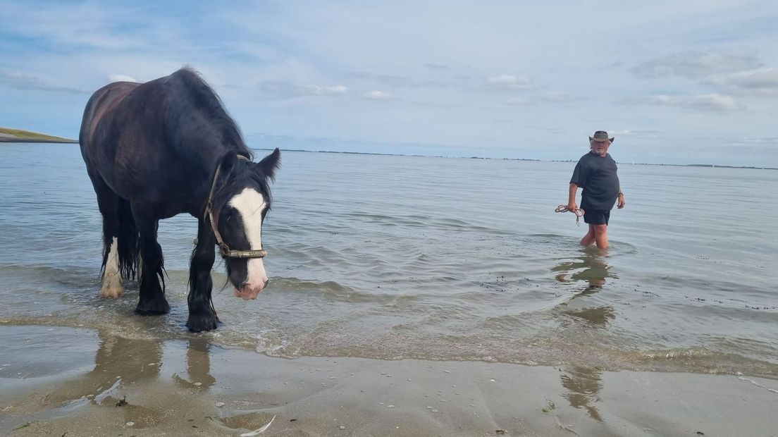 Marinus van Damme met zijn paard Mandy op het strand van Colijnsplaat