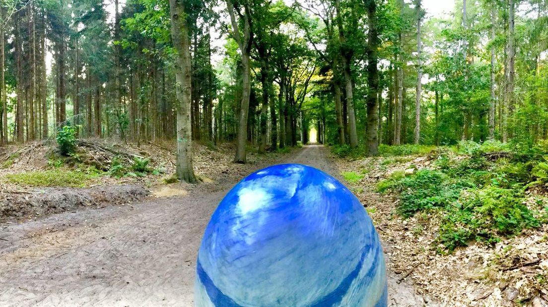 Blauwe bol op bospad, één van de kunstprojecten (Rechten: RTV Drenthe/Andries Ophof)