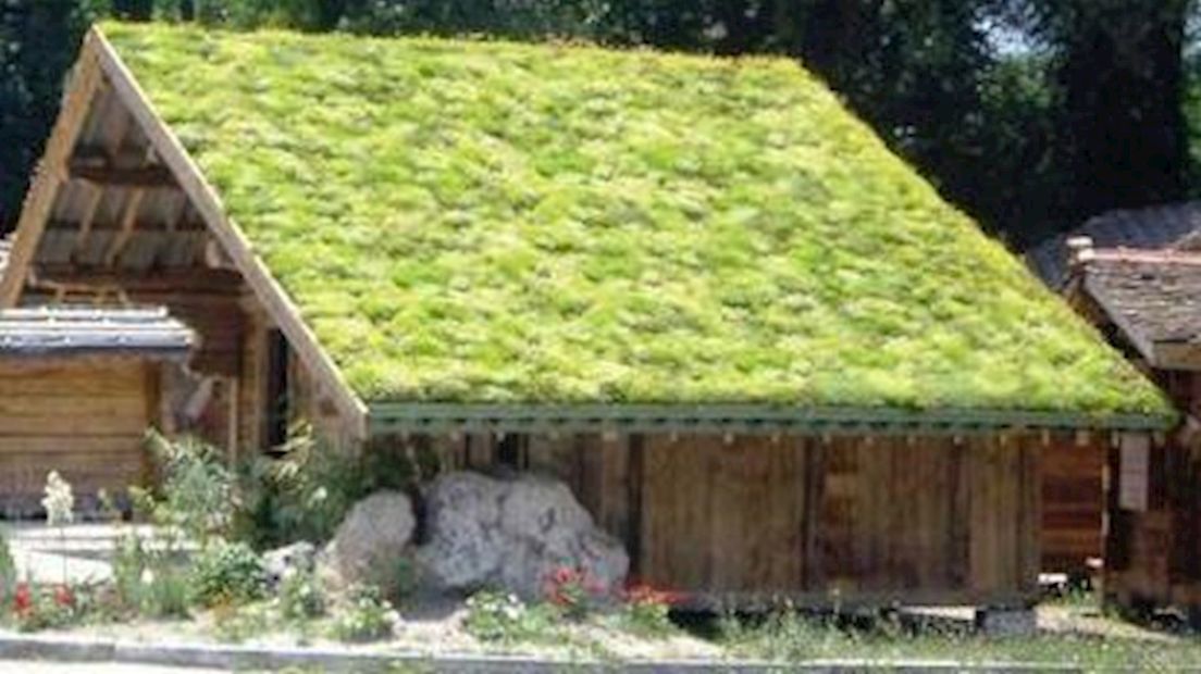 Subsidie voor groene daken in Almelo