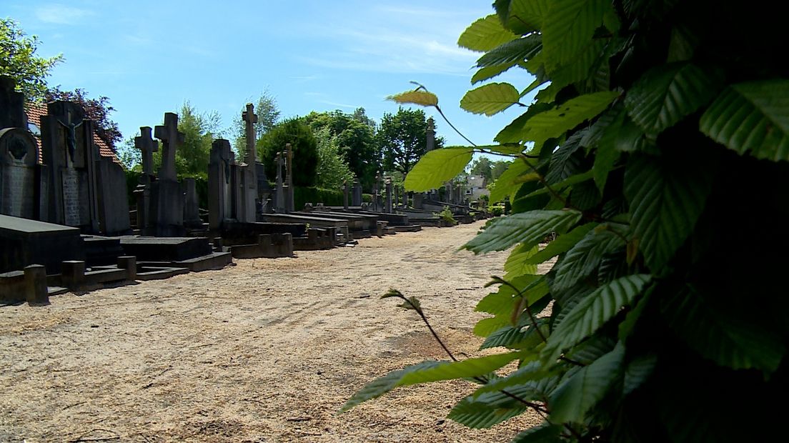 'Een begraafplaats doods? Helemaal niet, het zit vól leven!' (video)