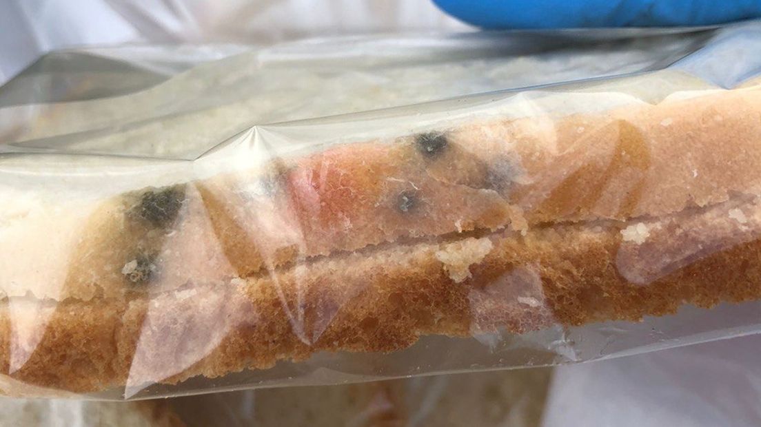 Het beschimmelde brood