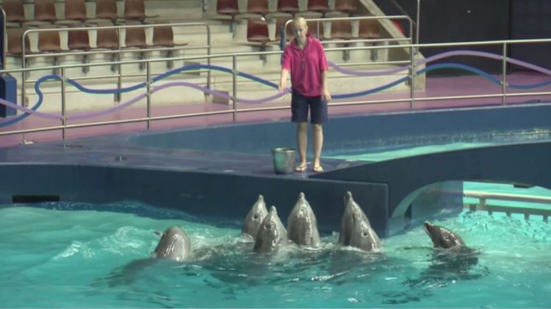 Dolfinarium moet haar reclame aanpassen