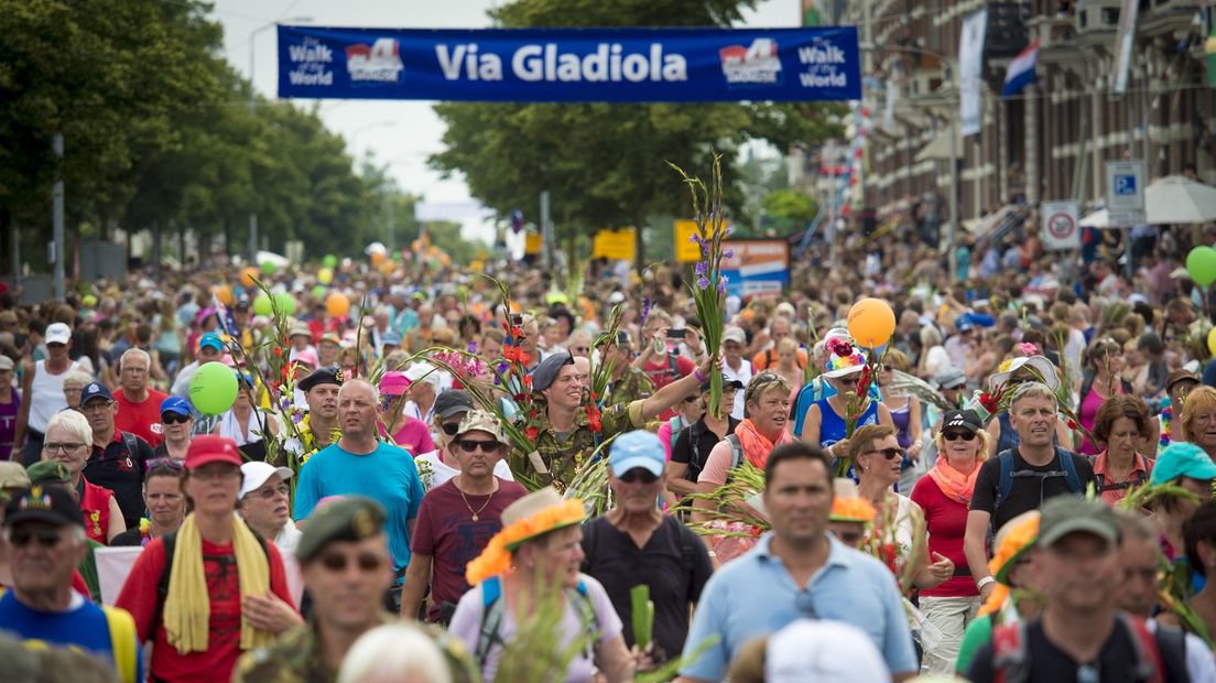 De Via Gladiola