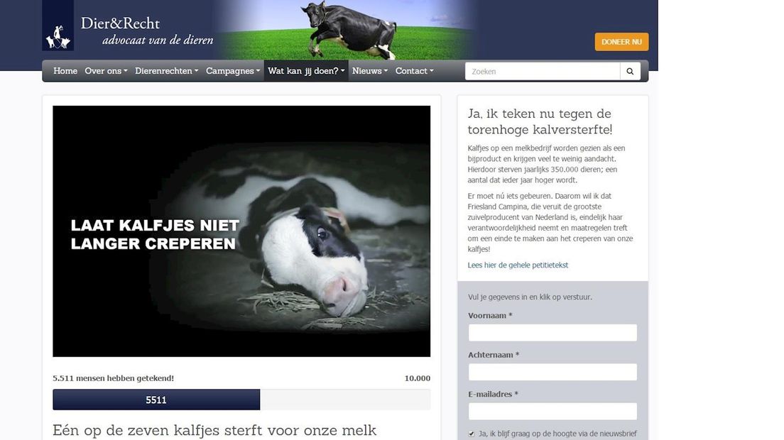'Eén op de zeven kalfjes sterft voor onze melk'