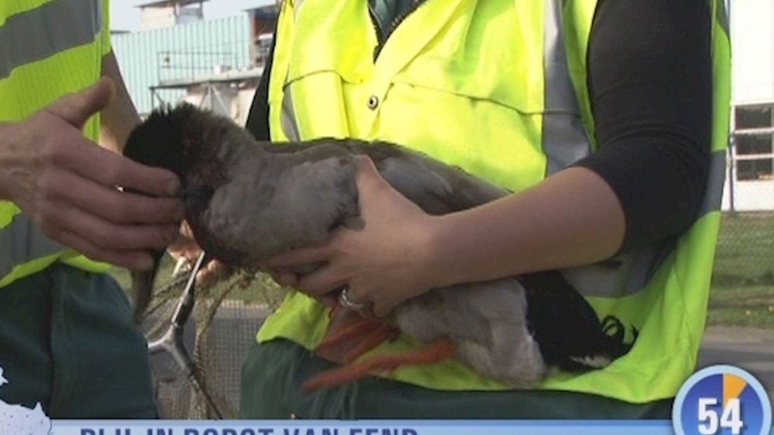 Nieuws in 1 minuut
