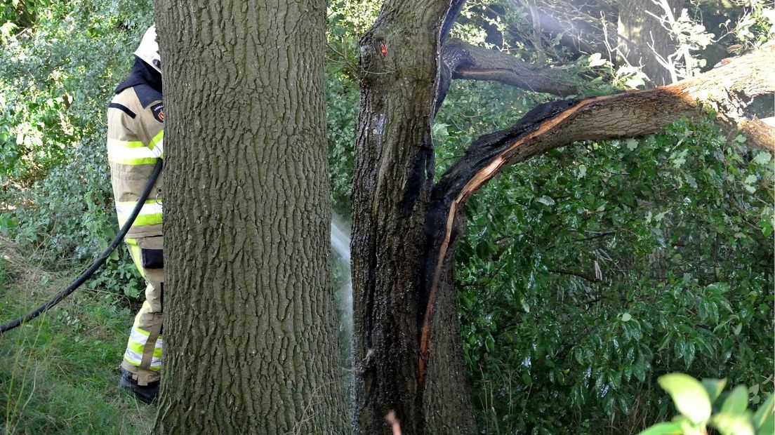 Brandende boom in Dalfsen