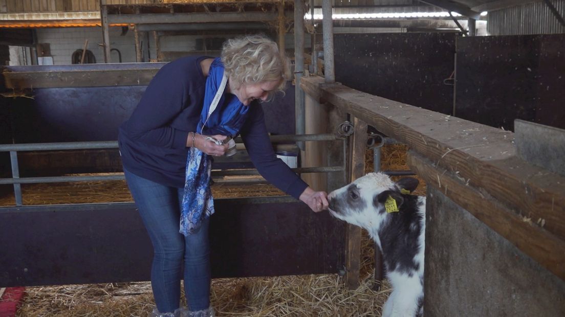 Stadse Nicolette Onstenk nodigt zichzelf uit bij de boer