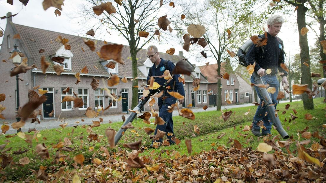 Bladblazers met bladblazers in actie