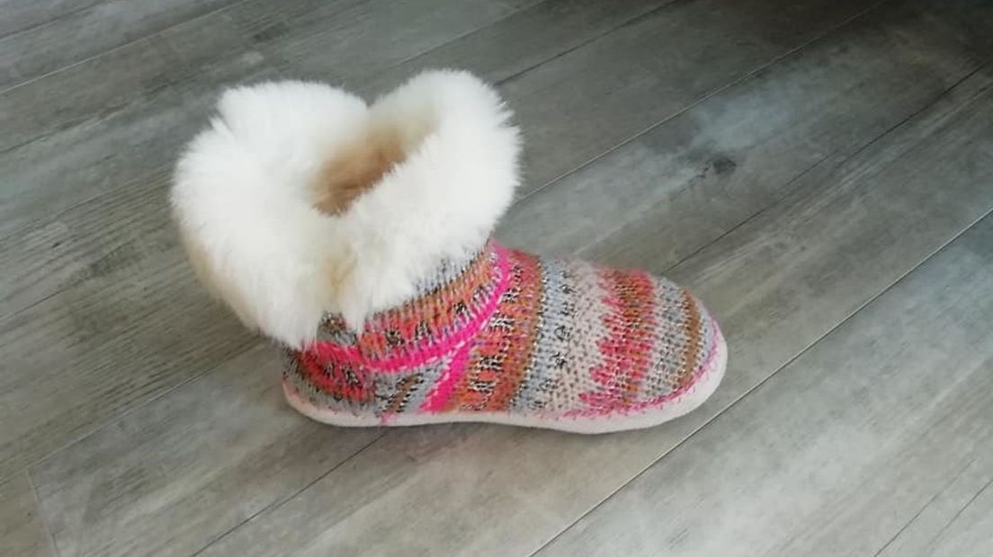 De kat nam de pantoffel van Lotte mee