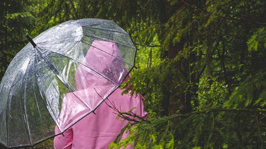 Ga vandaag maar niet de deur uit zonder paraplu, poncho of regenjas. Overal in de provincie regent het vandaag, zegt MeteoGroup in Wageningen.