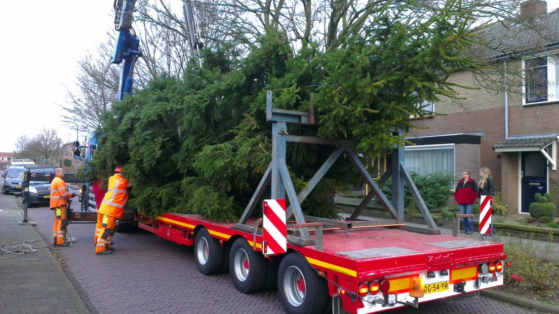 Een inwoner van Dieren heeft twee grote kerstbomen geschonken aan de gemeente Arnhem.