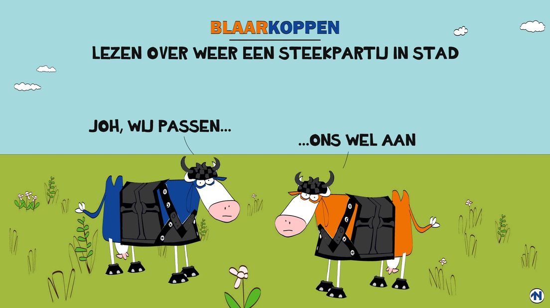 Blaarkoppen