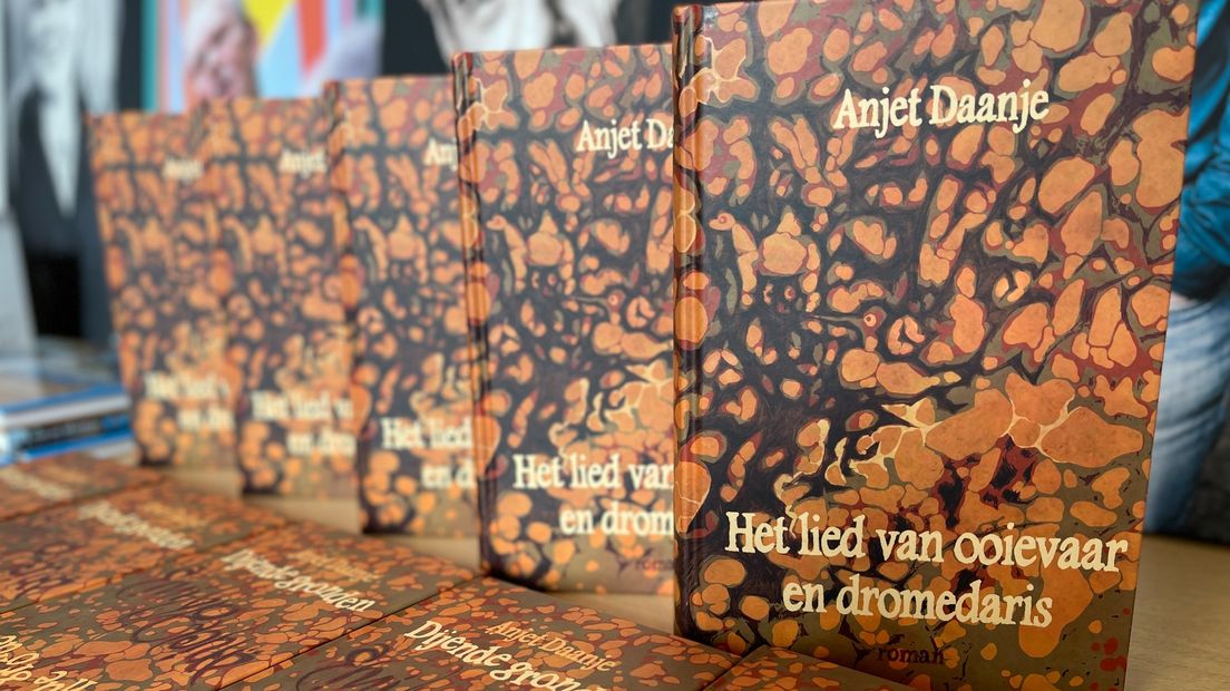 De nieuwe roman van Anjet Daanje