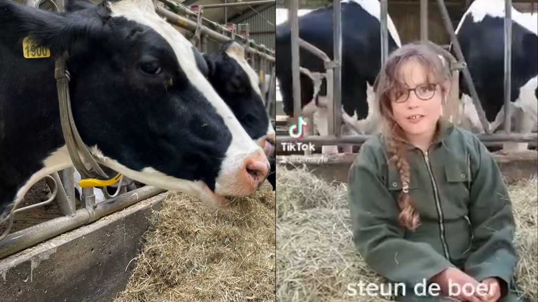 Boerendochter Helena is een overall-actie begonnen