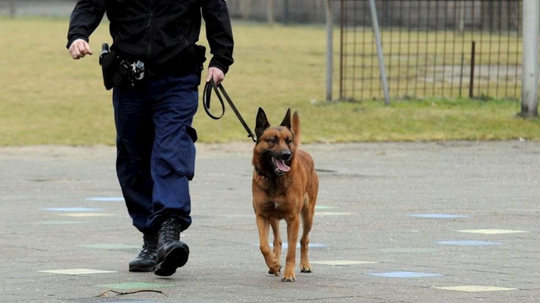 Ondanks inzet politiehond is kassa nog kwijt