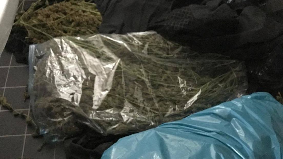 De politie ging op een melding van een hennepoverdracht af en vond een aantal zakken met hennep.