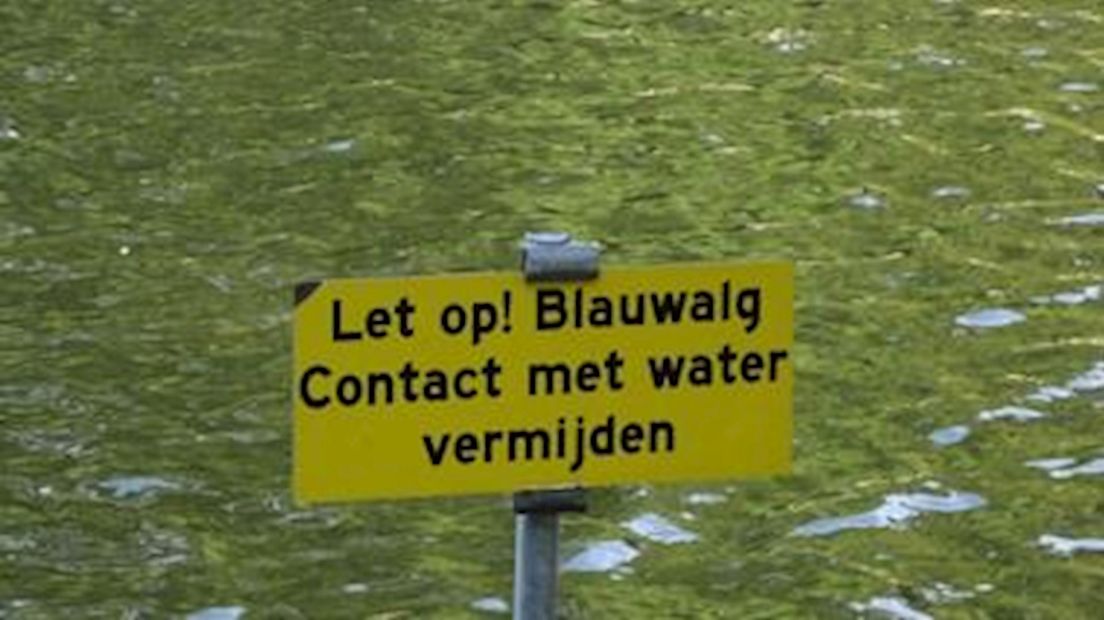 Waarschuwing voor blauwalg
