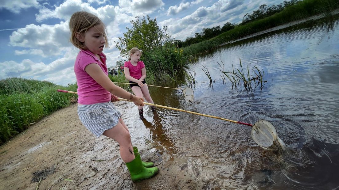 Twee meiden scheppen allerlei beestjes uit het slootwater