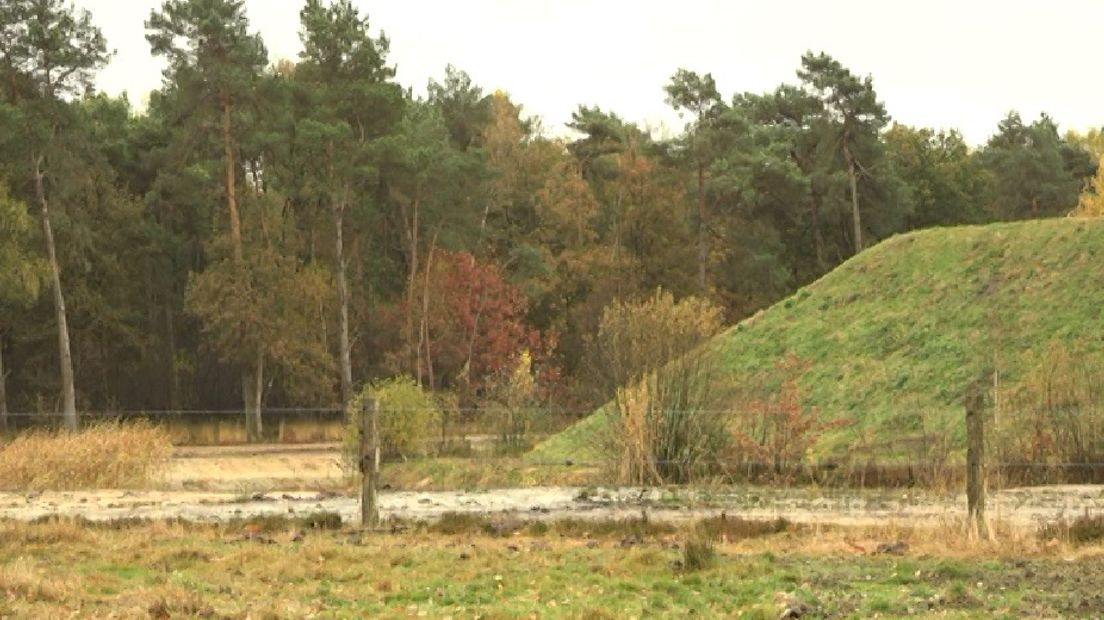 Het regent pijpenstelen. Toch weerhoudt het rentmeester Jacques Duivenvoorden niet van een wandeling over de Gorsselse hei. 'Kijk, hier zie je de kleine tormentil, dat is familie van de aardbei. En dat is zo'n typisch nat heideplantje.'