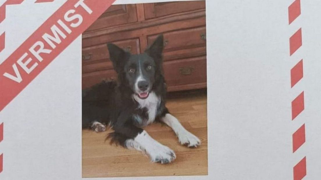 De flyer met daarop een foto van Max