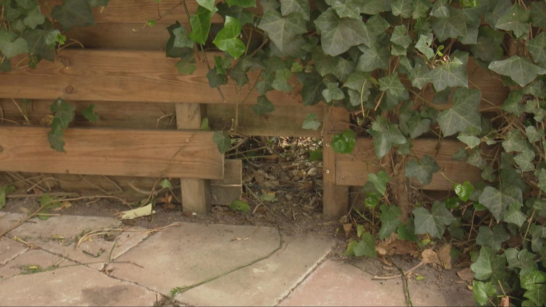 Een egelsnelweg is een gat van 13 bij 13 centimeter. Zo kan de egel makkelijk de tuin in.