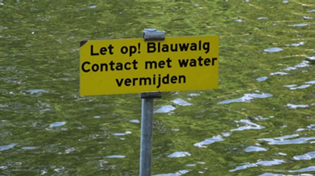 Waarschuwingsborden geplaatst voor blauwalg in Zwartemeer