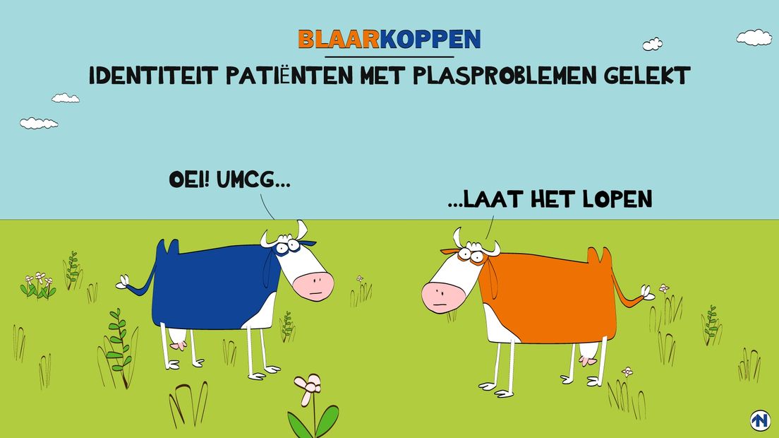 Blaarkoppen