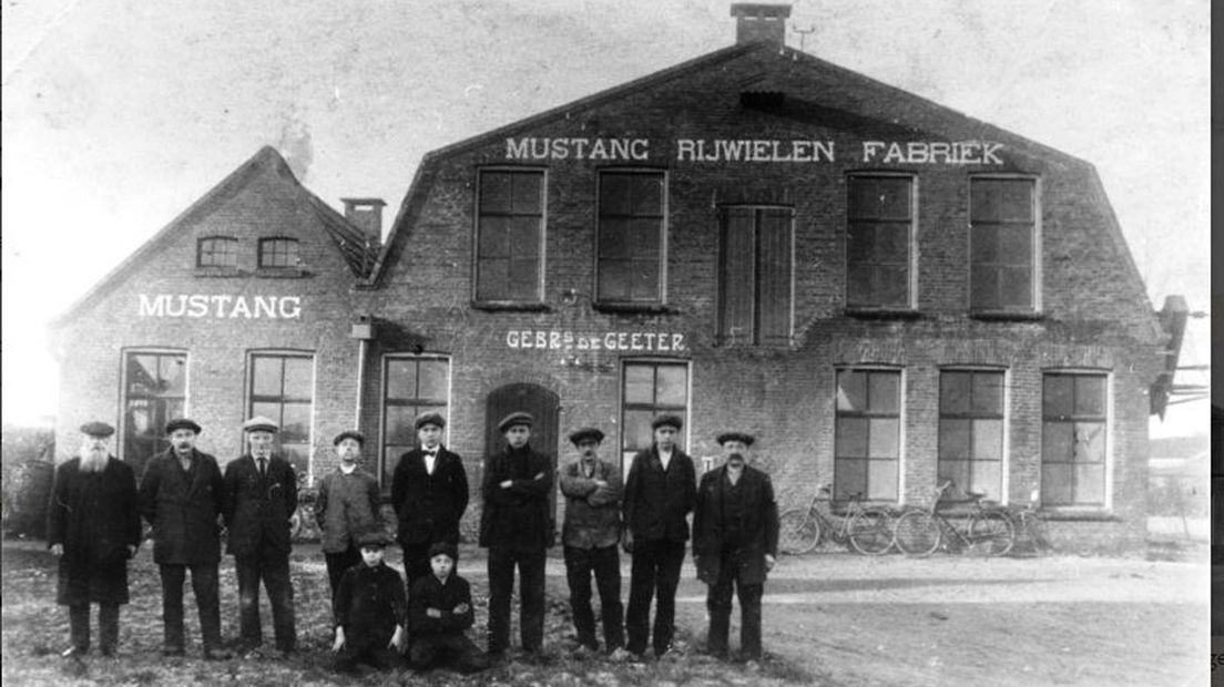 Mustang Paul Krugerlaan